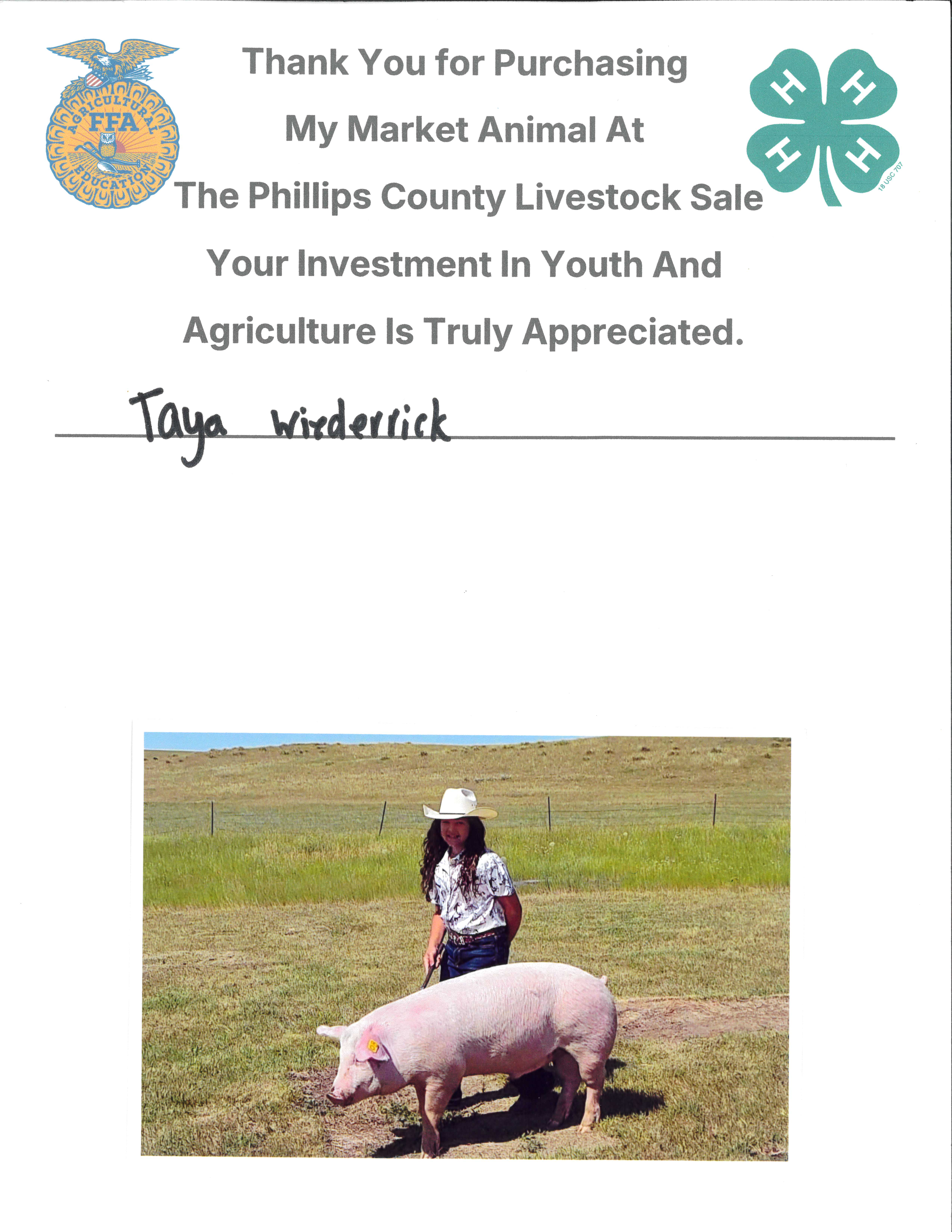 Taya Wiederrick - Pig Purchase